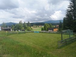 Ferienwohnung Ferienwohnung-3245341 in Sankt Oswald-Riedlhütte - 4 Personen, Hund erlaubt