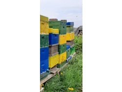 Ferienwohnung Ferienwohnung-3234206 in Carlow - 4 Personen, Hund nicht erlaubt