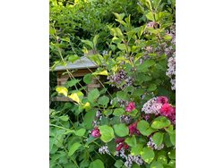 Bild zur gratis inserierten Ferienwohnung Ferienhaus-3286396.