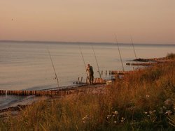 Bild zur gratis inserierten Ferienwohnung Ferienwohnung-3297467.