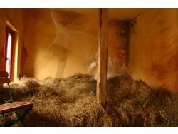 Bild zur gratis inserierten Ferienwohnung Ferienwohnung-3244778.