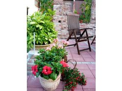 Ferienwohnung Ferienwohnung-3307825 in Betzenstein - 5 Personen, Hund nicht erlaubt