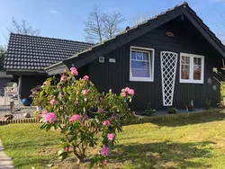 Bild zur gratis inserierten Ferienwohnung Ferienhaus-1305094.