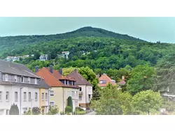 Ferienwohnung Ferienwohnung-3339373 in Neustadt an der Weinstraße - 6 Personen, Hund erlaubt