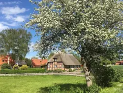 Bild zur gratis inserierten Ferienwohnung Ferienhaus-3329998.