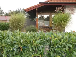 Ferienhaus Ferienhaus-3491068 in Jade - 5 Personen, Hund erlaubt