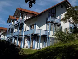 Ferienwohnung Ferienwohnung-3463900 in Schöfweg - 3 Personen, Hund erlaubt