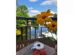 Ferienwohnung Ferienwohnung-3462914 in Brandenburg an der Havel - 4 Personen, Hund nicht erlaubt