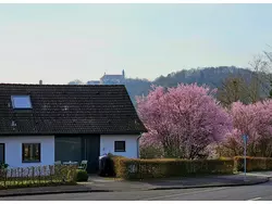 Ferienwohnung Ferienwohnung-3516548 in Fulda - 4 Personen, Hund nicht erlaubt