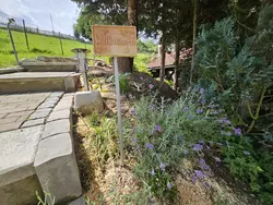 Bild zur gratis inserierten Ferienwohnung Ferienwohnung-3484860.