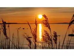 Bild zur gratis inserierten Ferienwohnung Ferienhaus-3509111.