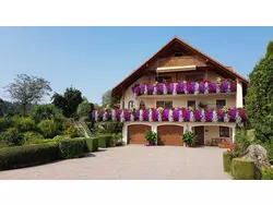 Bild zur gratis inserierten Ferienwohnung Ferienwohnung-3490434.