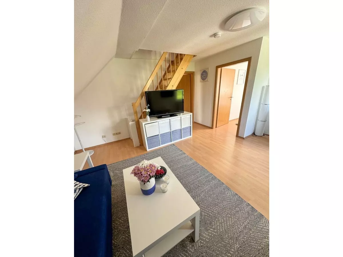 Bild-1