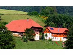 Bild zur gratis inserierten Ferienwohnung Ferienwohnung-3420361.