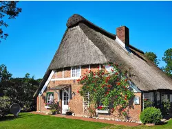 Ferienhaus Ferienhaus-3496885 in Oberndorf (Samtgemeinde Land Hadeln) - 5 Personen, Hund erlaubt