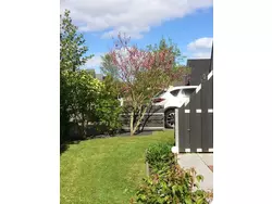 Bild zur gratis inserierten Ferienwohnung Ferienhaus-3508951.