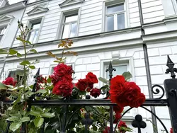 Ferienwohnung Ferienwohnung-3457028 in Altstadt (Stralsund) - 6 Personen, Hund nicht erlaubt