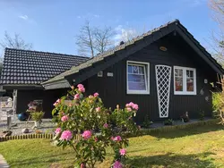 Bild zur gratis inserierten Ferienwohnung Ferienhaus-3419929.