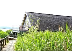 Ferienwohnung Ferienwohnung-3465631 in Basedow (Malchin am Kummerower See) - 2 Personen, Hund nicht erlaubt