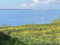 Bild zur gratis inserierten Ferienwohnung Ferienwohnung-3452613.