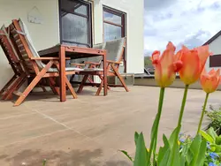 Ferienwohnung Ferienwohnung-3472259 in Waldenbuch - 4 Personen, Hund erlaubt