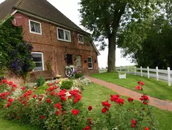 Bild zur gratis inserierten Ferienwohnung Ferienwohnung-3429746.