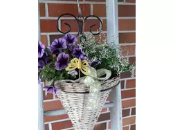 Bild zur gratis inserierten Ferienwohnung Ferienwohnung-3339698.