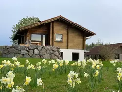 Bild zur gratis inserierten Ferienwohnung Ferienwohnung-3442407.