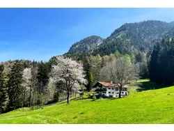 Bild zur gratis inserierten Ferienwohnung Ferienwohnung-3318000.