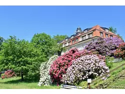 Bild zur gratis inserierten Ferienwohnung Ferienwohnung-3513911.