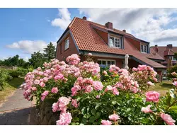 Bild zur gratis inserierten Ferienwohnung Ferienwohnung-3456426.