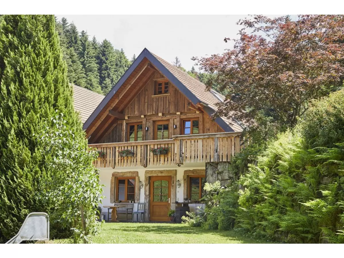 5. Bild Bild-5