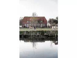 Ferienwohnung Ferienwohnung-3476315 in Vollerwiek - 4 Personen, Hund erlaubt