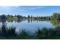 Ferienhaus Ferienhaus-3483152 in Waldkirchen (Landkreis Freyung-Grafenau) - 4 Personen, Hund erlaubt