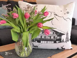 Bild zur gratis inserierten Ferienwohnung Ferienwohnung-3474000.