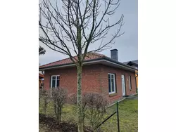 Ferienhaus Ferienhaus-3339019 in Fuhlendorf (Barth) - 4 Personen, Hund nicht erlaubt