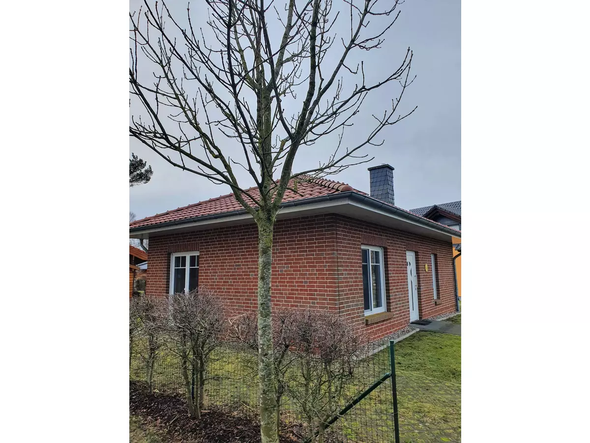 2. Bild Bild-2