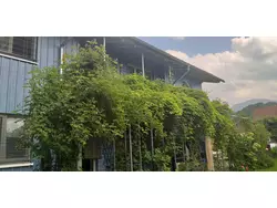 Bild zur gratis inserierten Ferienwohnung Ferienwohnung-3340124.