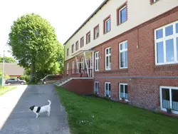 Ferienwohnung Ferienwohnung-3419265 in Lüssow (Niepars) - 3 Personen, Hund erlaubt