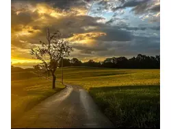 Ferienhaus Ferienhaus-3426763 in Miesbach - 6 Personen, Hund nicht erlaubt