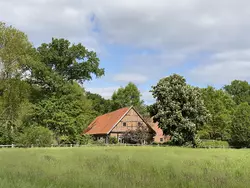 Ferienhaus Ferienhaus-3442583 in Nienhagen (Gilten) - 5 Personen, Hund nicht erlaubt