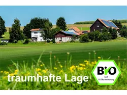 Ferienwohnung Ferienwohnung-2090179 in Stammbach - 2 Personen, Hund nicht erlaubt