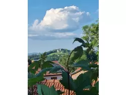 Ferienwohnung Ferienwohnung-2154327 in Kirchberg i.Wald - 2 Personen, Hund erlaubt