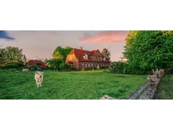 Ferienwohnung Ferienwohnung-1902461 in Rieseby - 7 Personen, Hund erlaubt