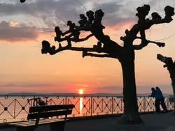 Bild zur gratis inserierten Ferienwohnung Ferienwohnung-3539541.