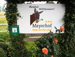 Ferienwohnung Ferienwohnung-3491958 in Bad Essen - 4 Personen, Hund erlaubt