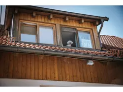 Ferienwohnung Ferienwohnung-1817208 in Dießen am Ammersee - 5 Personen, Hund nicht erlaubt