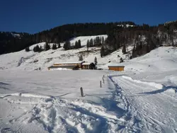 Bild zur gratis inserierten Ferienwohnung Ferienwohnung-3548730.