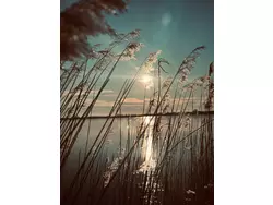 Bild zur gratis inserierten Ferienwohnung Ferienhaus-3551389.