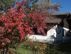 Bild zur gratis inserierten Ferienwohnung Ferienhaus-3552382.